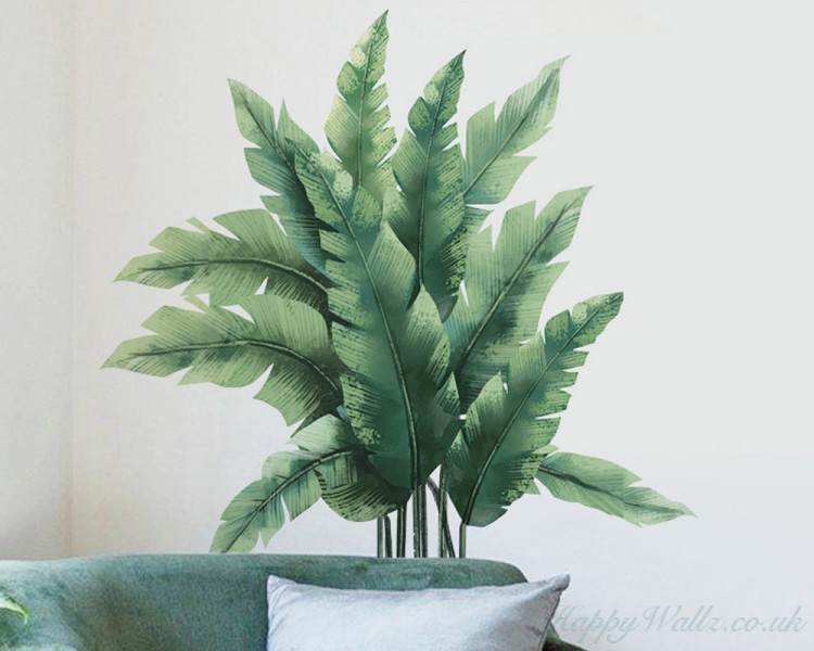 Tropical Plants Tropical Plants